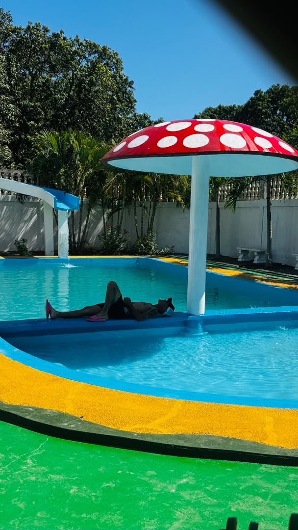 Vista de la piscina con hongo y área de descanso en el agua